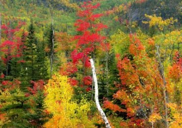 Charlevoix- Kanada