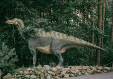 das Royal Tyrrell Museum-Drumheller